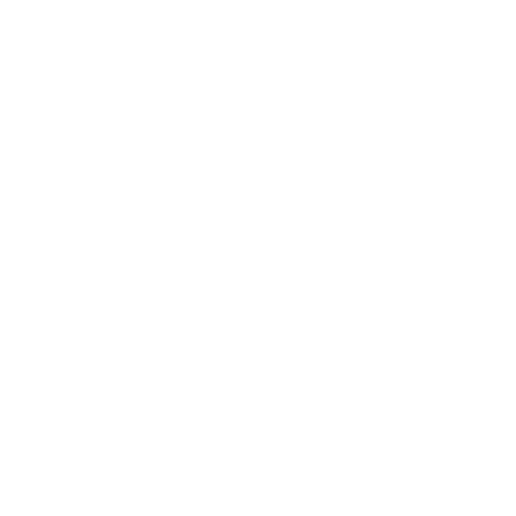 Robbot Logo